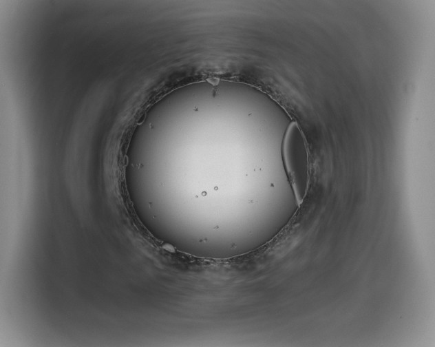 X0000114600961200910191615