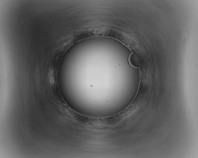 X0000114600962200910191615