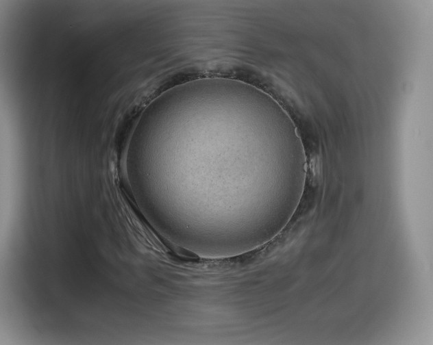 X0000114600963200910191615