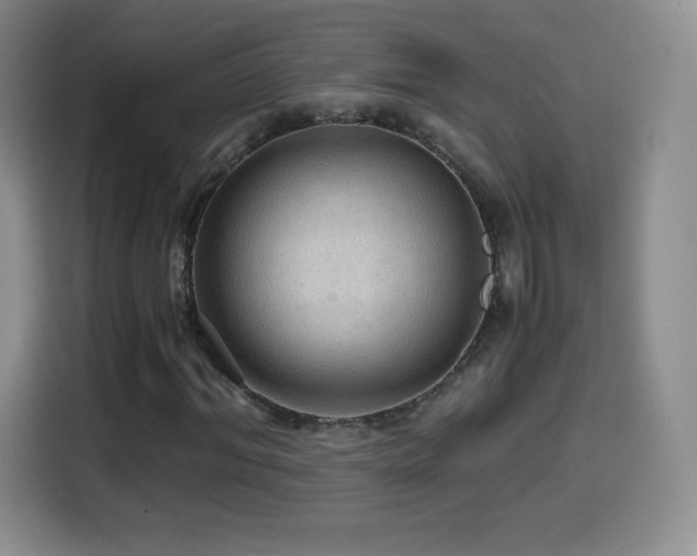 X0000114600964200910191615