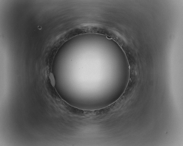 X0000114600965200910191615