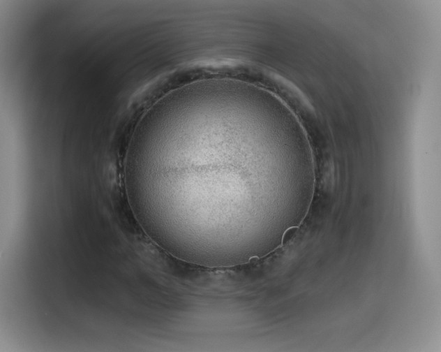 X0000114600966200910191615