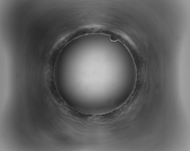 X0000114600967200910191615