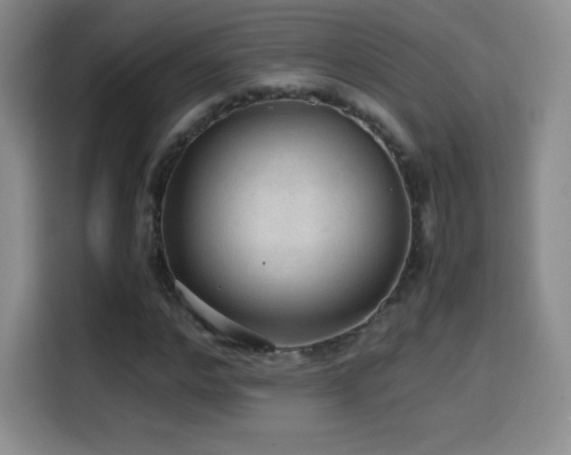 X0000114600968200910191615