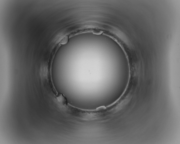 X0000114600969200910191615