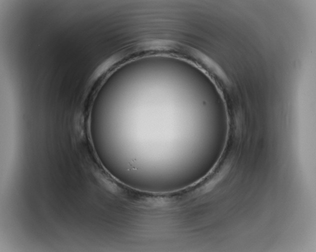 X0000114600970200910191615