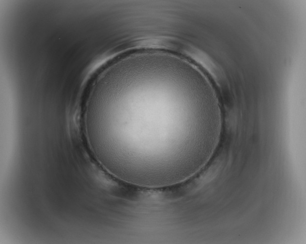 X0000114600971200910191615