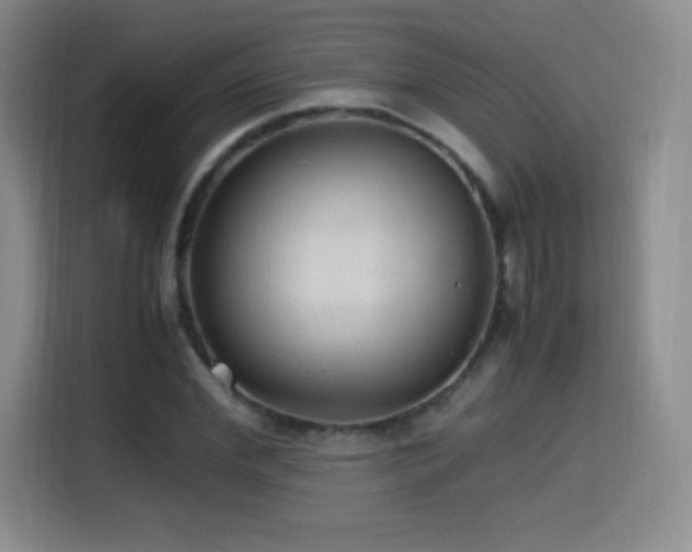 X0000114600972200910191615