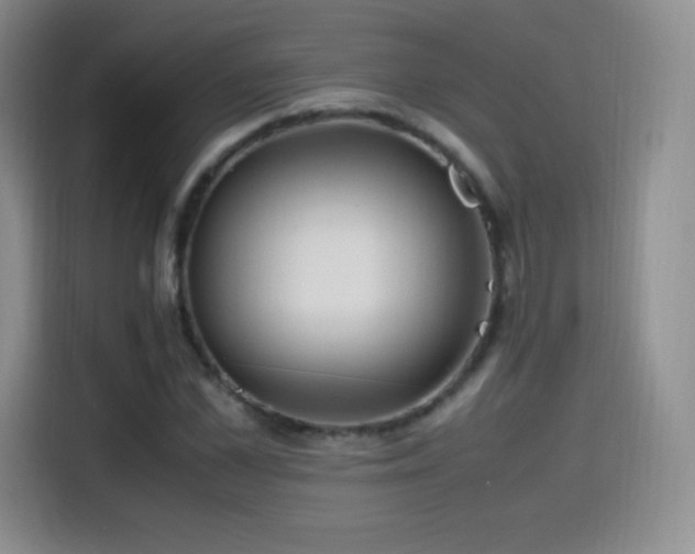 X0000114600973200910191615