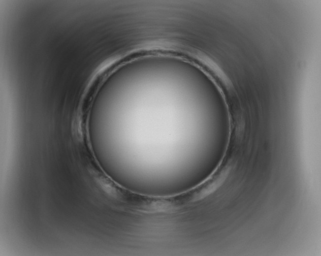 X0000114600974200910191615