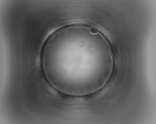 X0000114600975200910191615