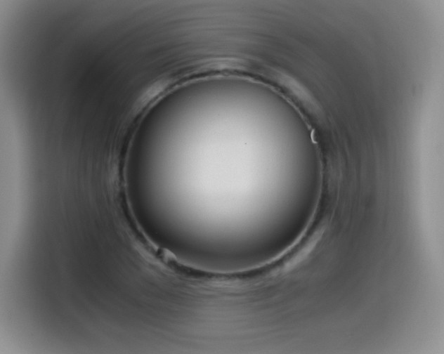 X0000114600977200910191615