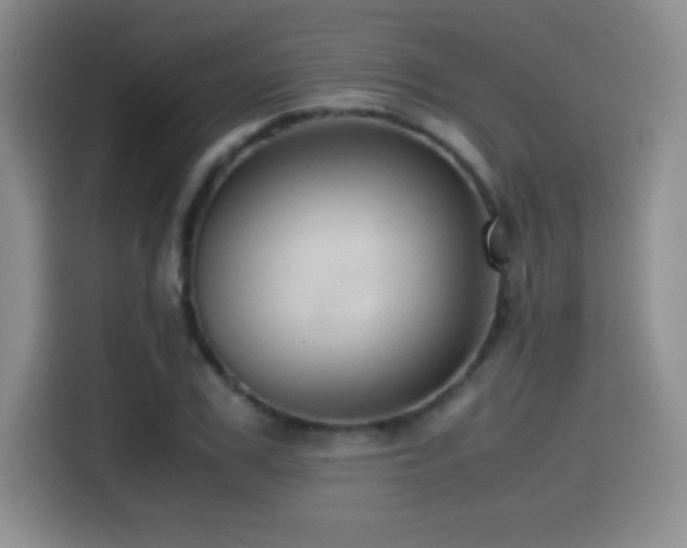 X0000114600979200910191615