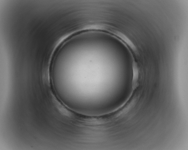 X0000114600980200910191615