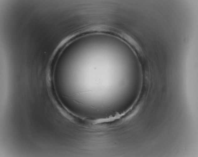 X0000114600981200910191615