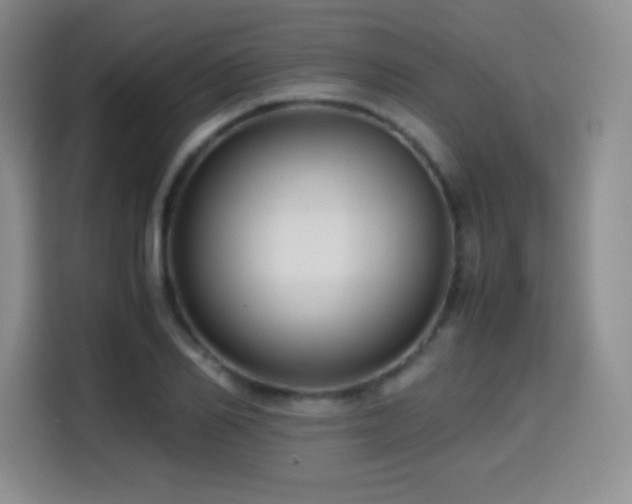 X0000114600982200910191615