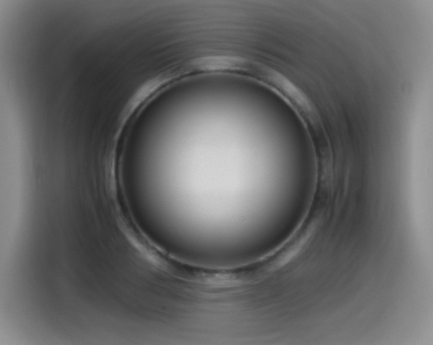 X0000114600986200910191615