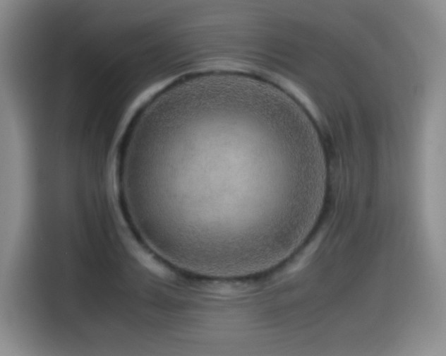 X0000114600987200910191615