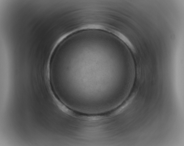 X0000114600988200910191615