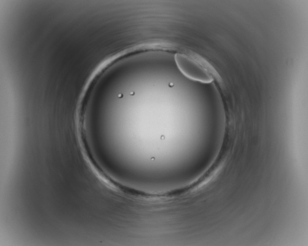 X0000114600989200910191615