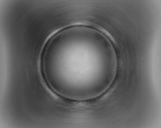 X0000114600991200910191615