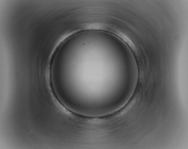 X0000114600992200910191615