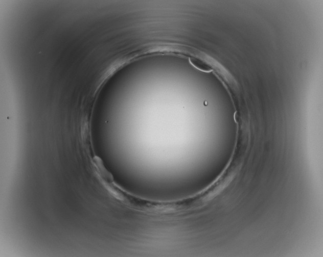 X0000114600993200910191615