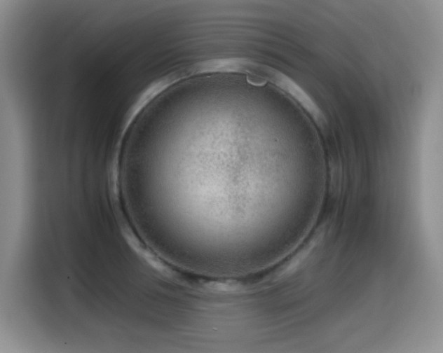 X0000114600994200910191615