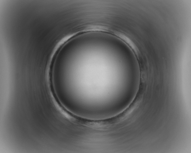 X0000114600995200910191615