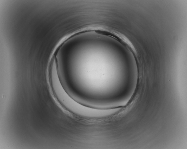 X0000114600997200910191615