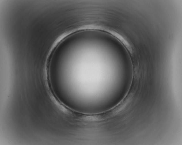 X0000114600998200910191615