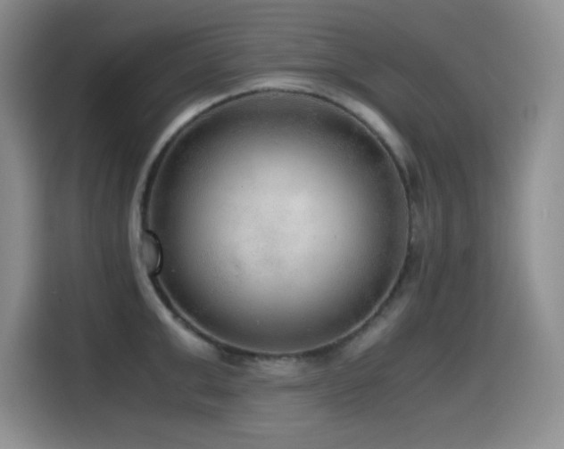 X0000114600999200910191615