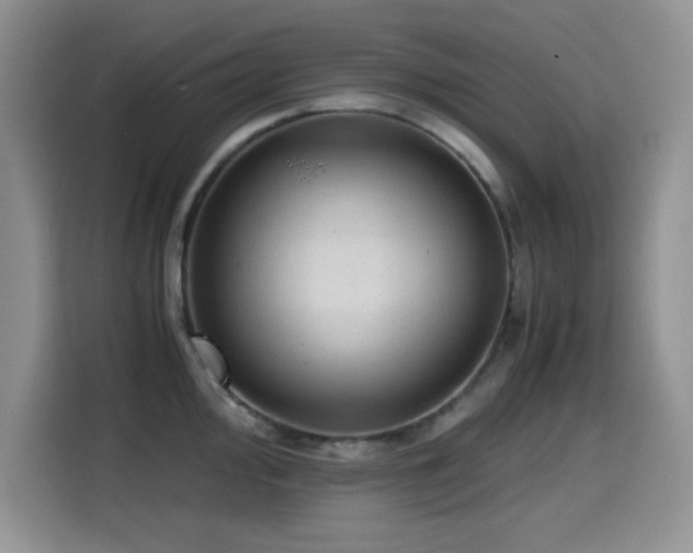 X0000114601000200910191615