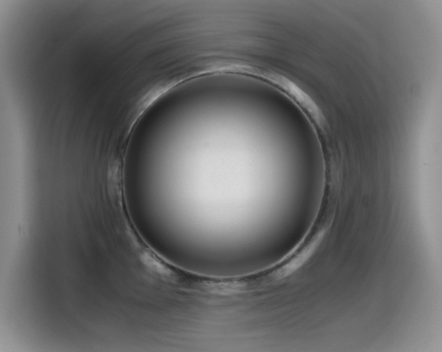 X0000114601001200910191615