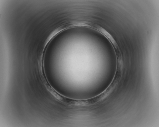 X0000114601002200910191615