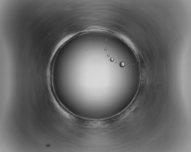 X0000114601003200910191614