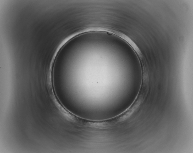 X0000114601004200910191614