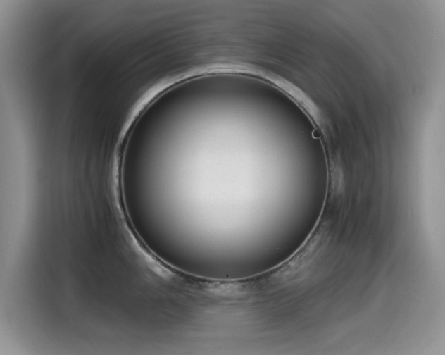 X0000114601006200910191614