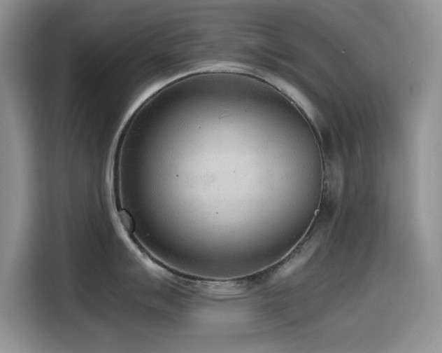 X0000114601007200910191614