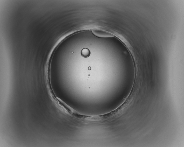 X0000114601008200910191614