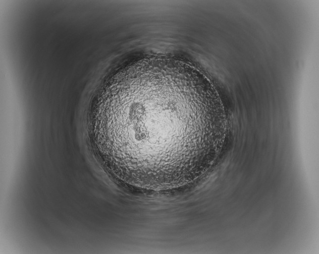 X0000114601009200910191614