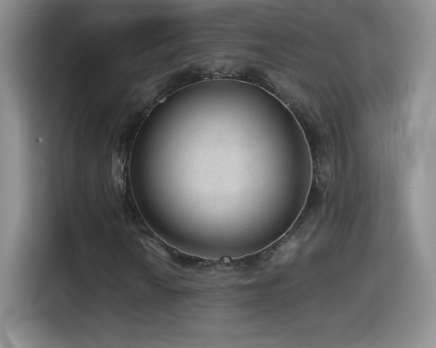 X0000114601010200910191614