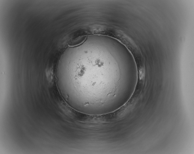 X0000114601011200910191614