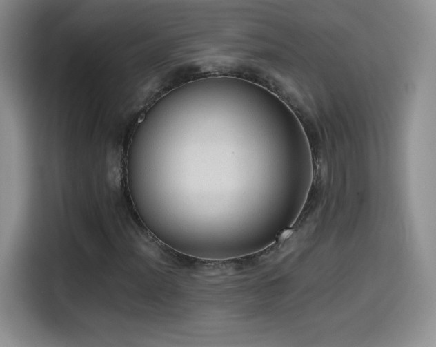 X0000114601012200910191614