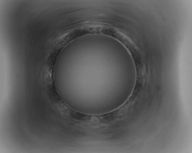 X0000114601013200910191614