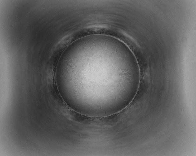 X0000114601014200910191614