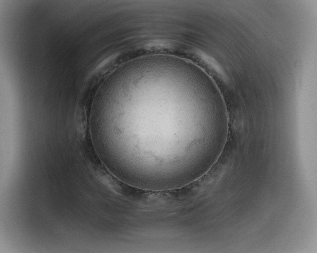 X0000114601015200910191614