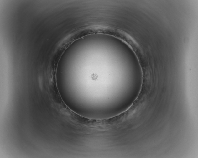 X0000114601016200910191614