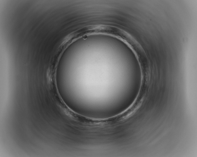 X0000114601017200910191614