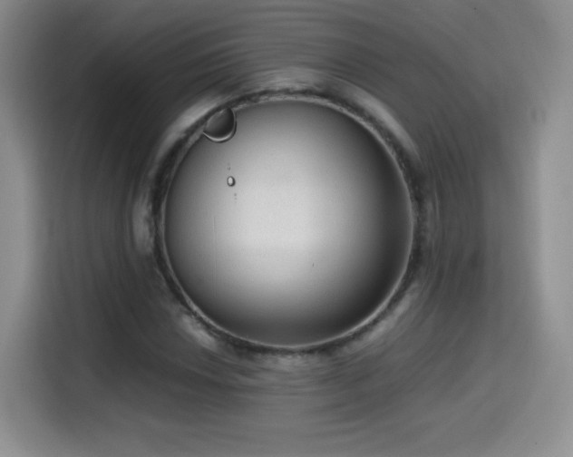 X0000114601018200910191614